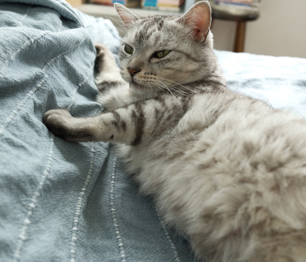 七月果つ、20250731