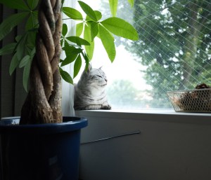 連休明け、20250812