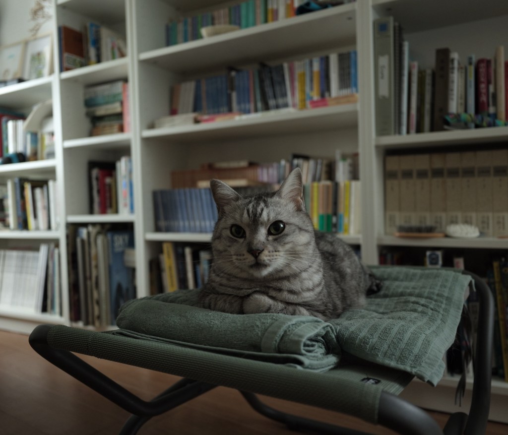 最下位を確信する、理想のフォームを強く意識する、20250828