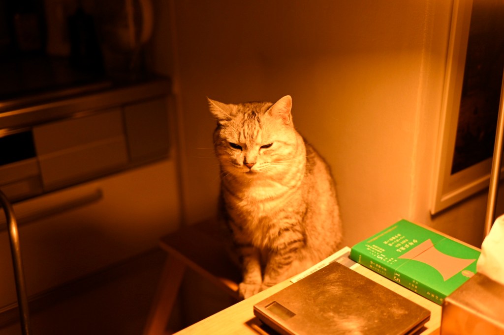 豪雨、ハン・ガン、レジとスピード、0km, 20250911