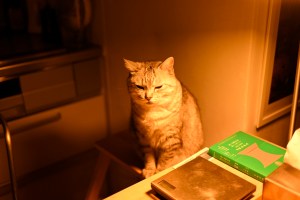 豪雨、ハン・ガン、レジとスピード、0km, 20250911