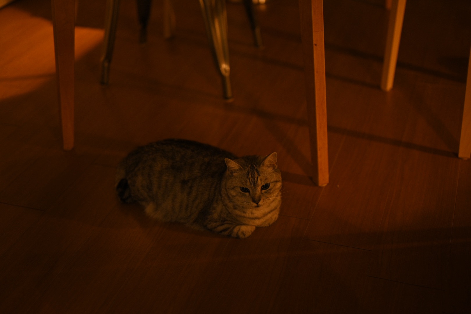 All My Treasure, 0km, 20250922