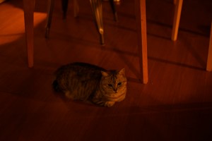 All My Treasure, 0km,&nbsp;20250922