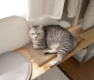 休息2日目、20250902