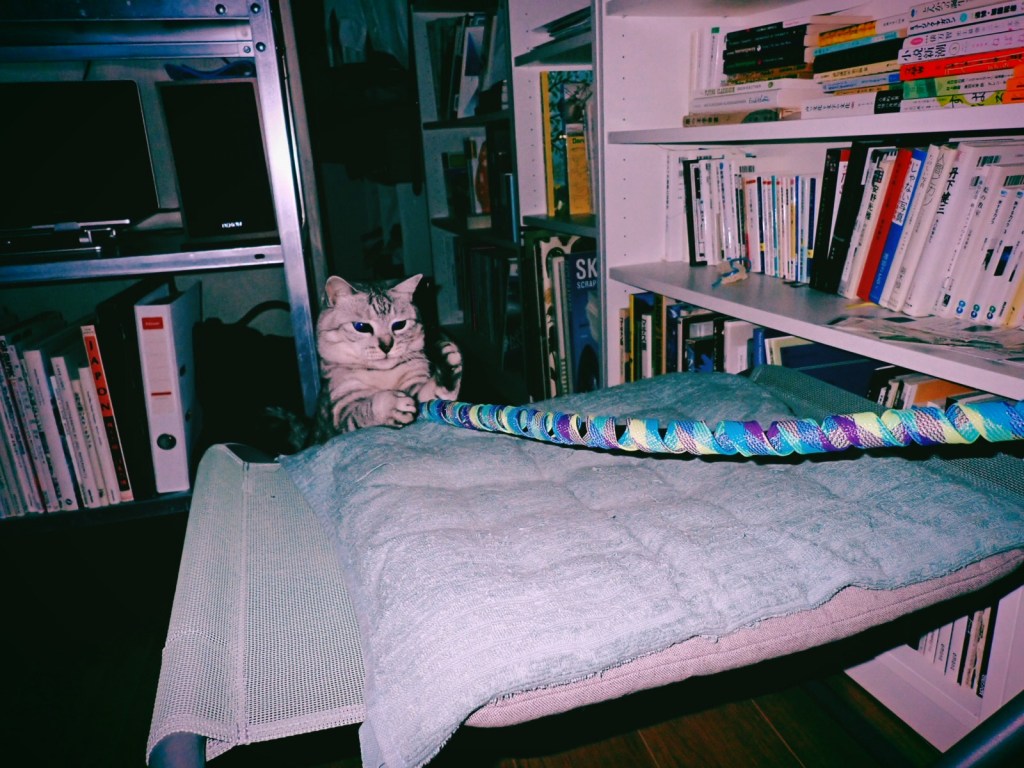 “Ain’t Too Proud To Beg”, 3km,&nbsp;20251017