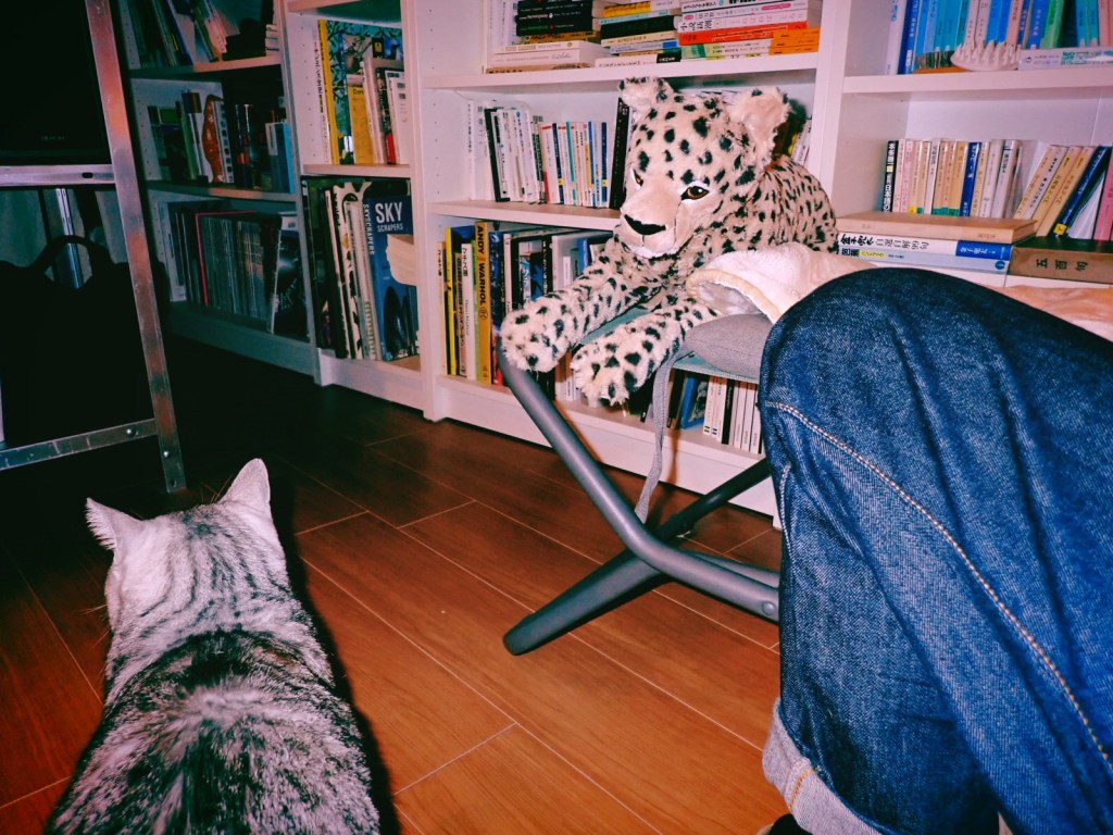 新著を手に取る、決算報告、0km, 20251023