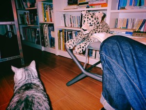 新著を手に取る、決算報告、0km, 20251023