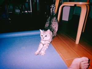 習慣、無為、自己と非自己、10日ぶりに走る、9km, 20251027