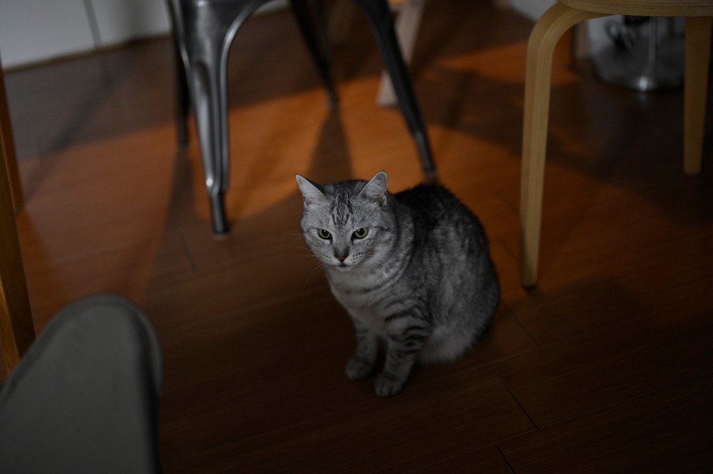 10/26 Stones Night at Meguro Time Out, “Tumbling Dice”, 0km,&nbsp;20250930