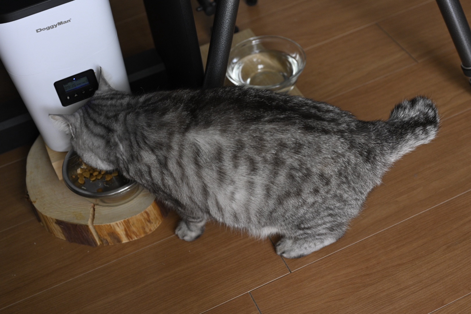 デビュー・シングルの”Come On”, 0km, 20251008