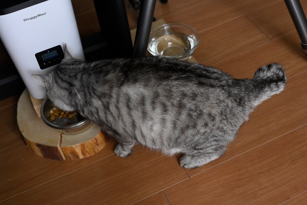 デビュー・シングルの”Come On”, 0km,&nbsp;20251008