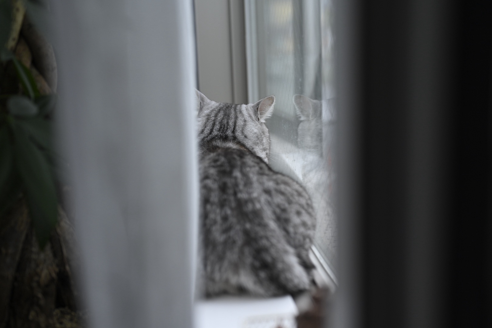 イントロの2小節とロニーのソロを聴く”Start Me Up”, 0km, 20251009