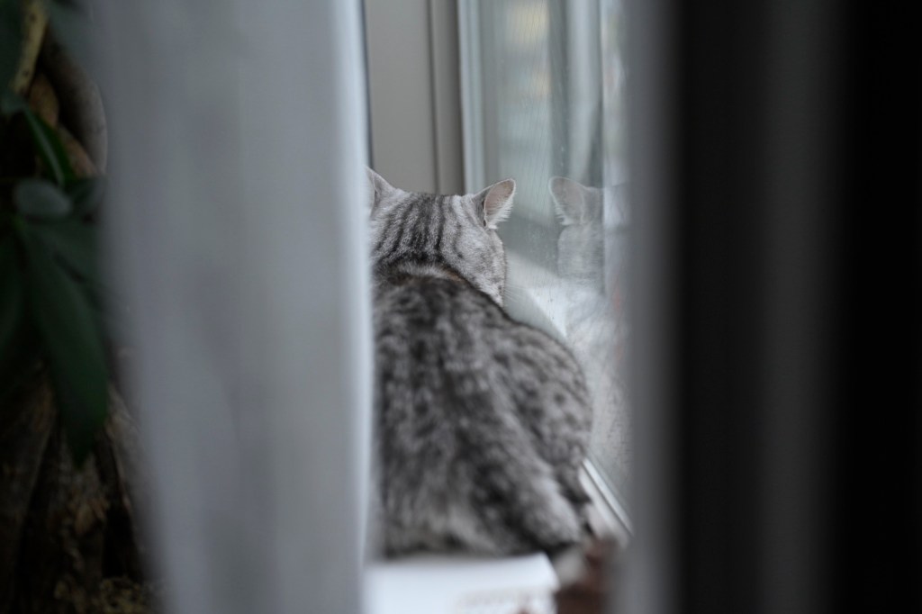 イントロの2小節とロニーのソロを聴く”Start Me Up”, 0km,&nbsp;20251009