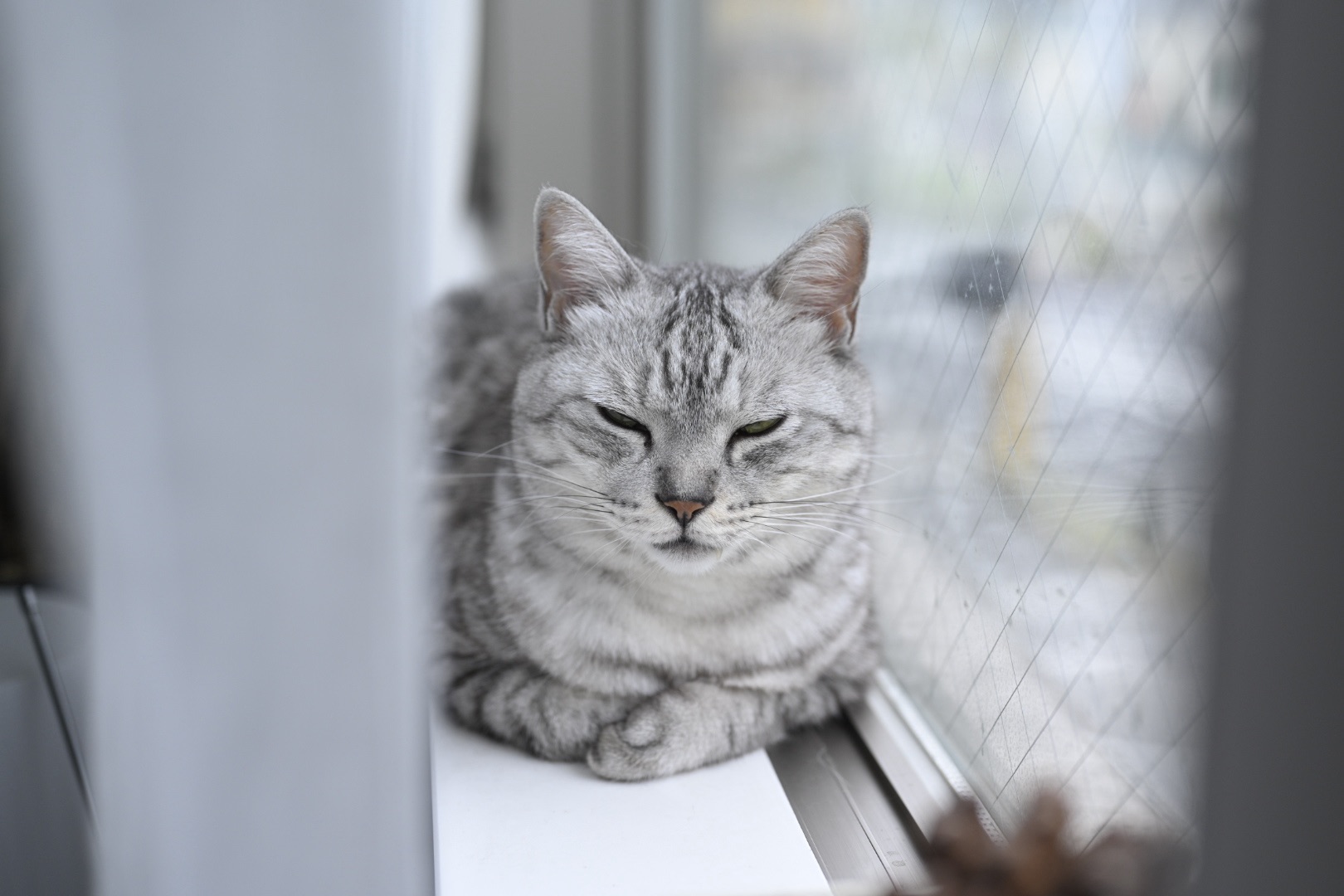 “Love in Vain”, 0km, 20251011