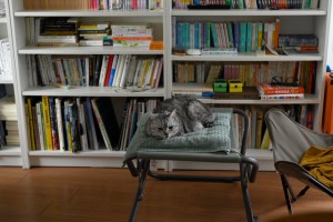 “It’s All Over Now”, 0km,&nbsp;20251015