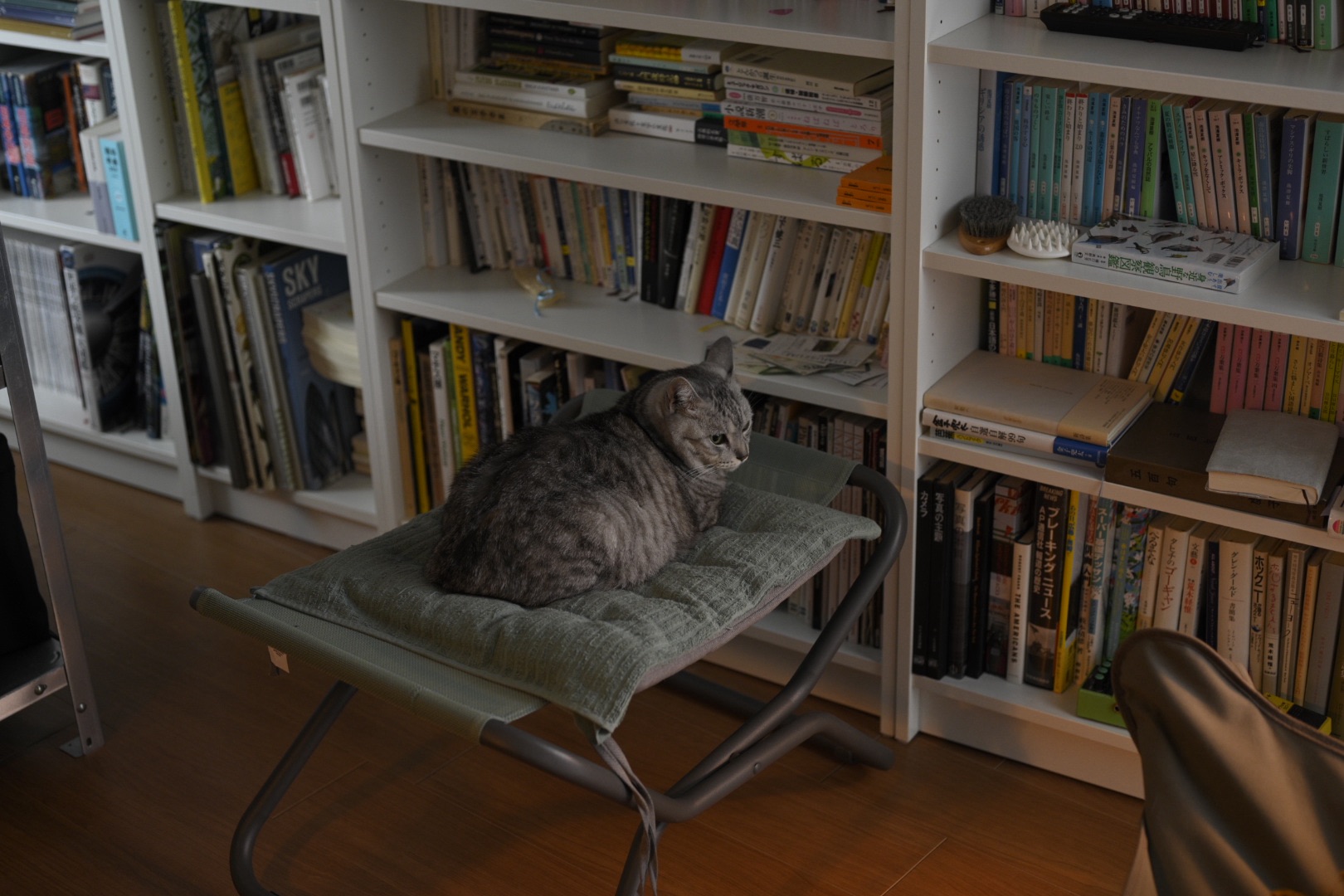 パート選びの煩悩、”Just My Imagination”, 0km, 20251016