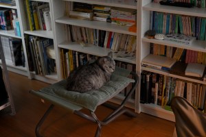 パート選びの煩悩、”Just My Imagination”, 0km,&nbsp;20251016