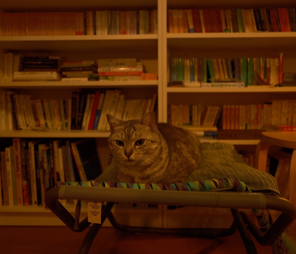 直球ど真ん中のラブ・ソング”My Girl”, 0km,&nbsp;20251018