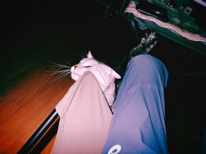 核心に触れる、読むことについての覚え書き、12km, 20251108