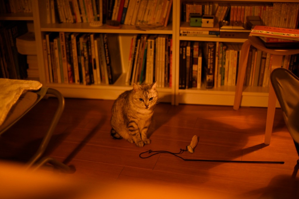 風邪をひく、0km, 20251105