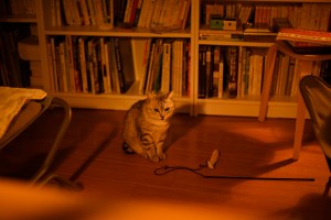 風邪をひく、0km, 20251105