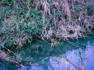 土砂掬ふ重機見てゐる枯野かな、21km, 20251211