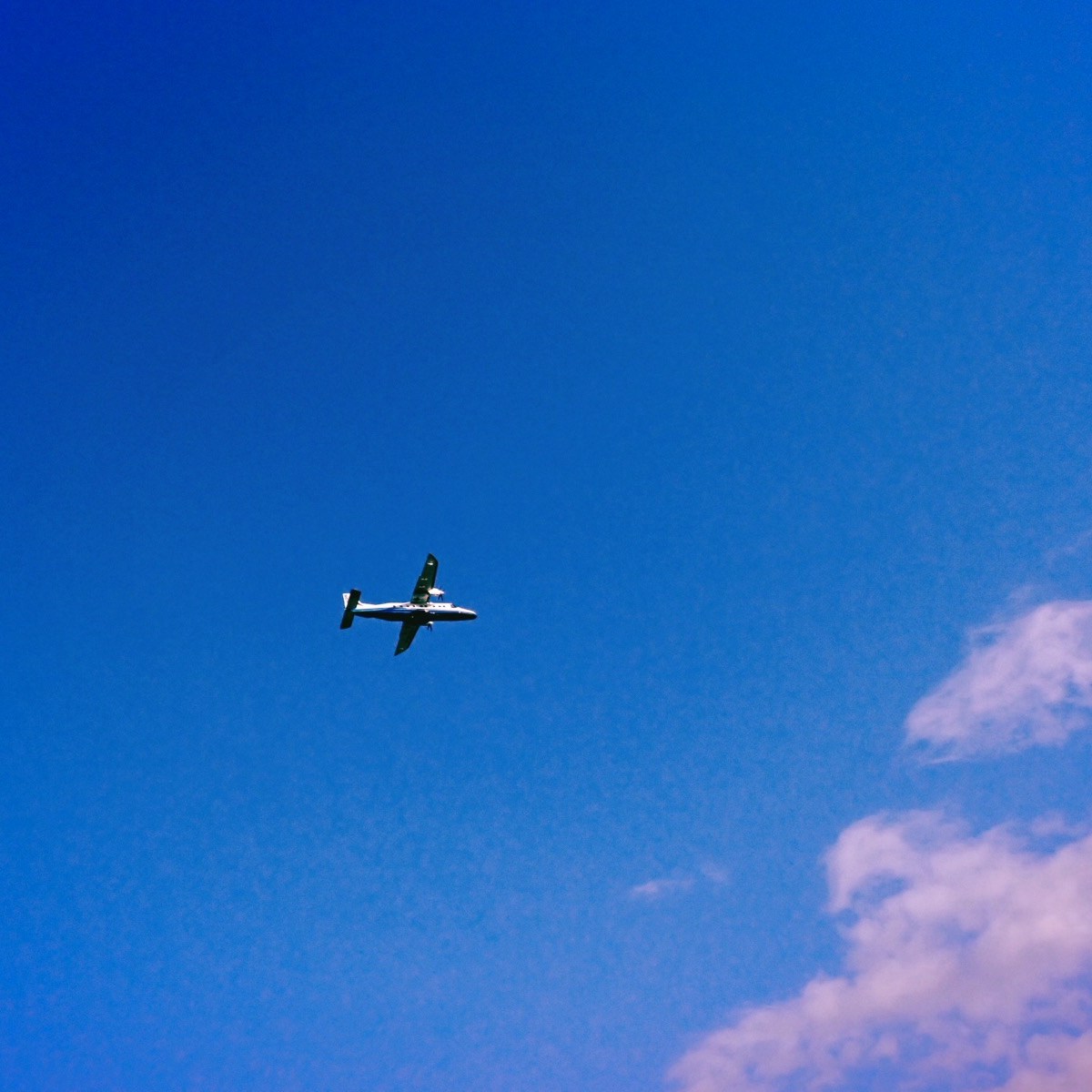 山茶花や大島に飛ぶ滑走路、21km, 20251213