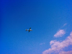 山茶花や大島に飛ぶ滑走路、21km, 20251213