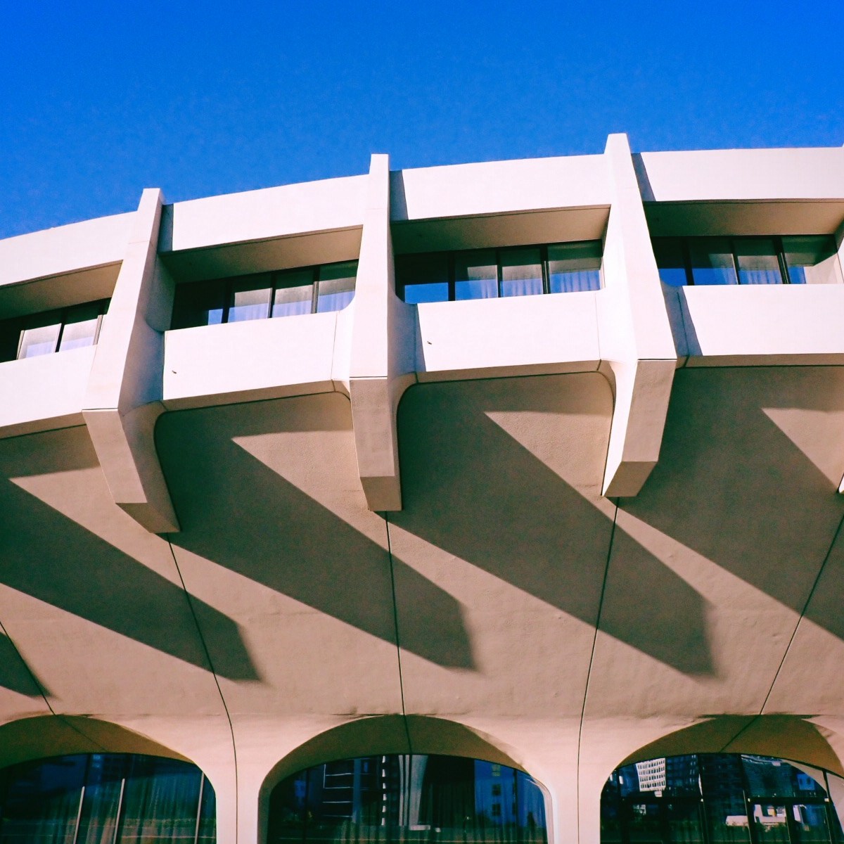 猫のごと抱き顔あててスエタかな、12km, 20251205