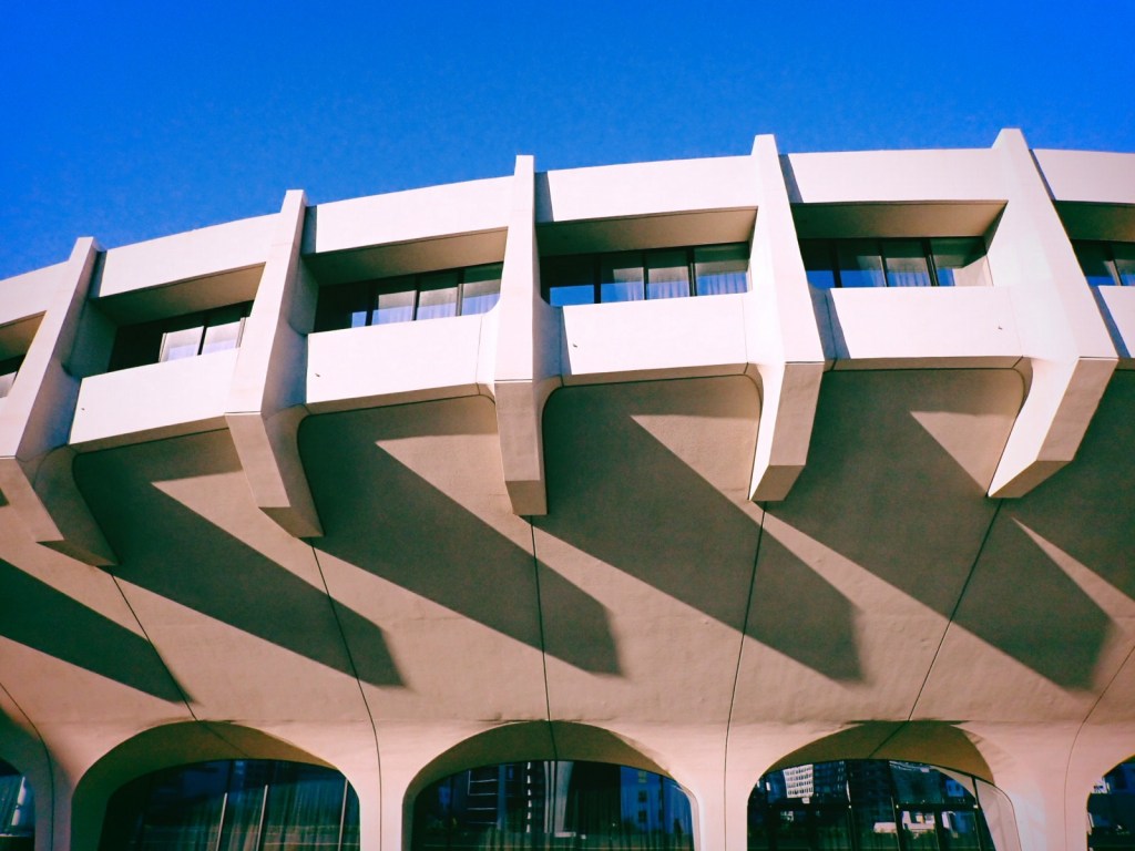 猫のごと抱き顔あててスエタかな、12km, 20251205