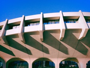 猫のごと抱き顔あててスエタかな、12km, 20251205