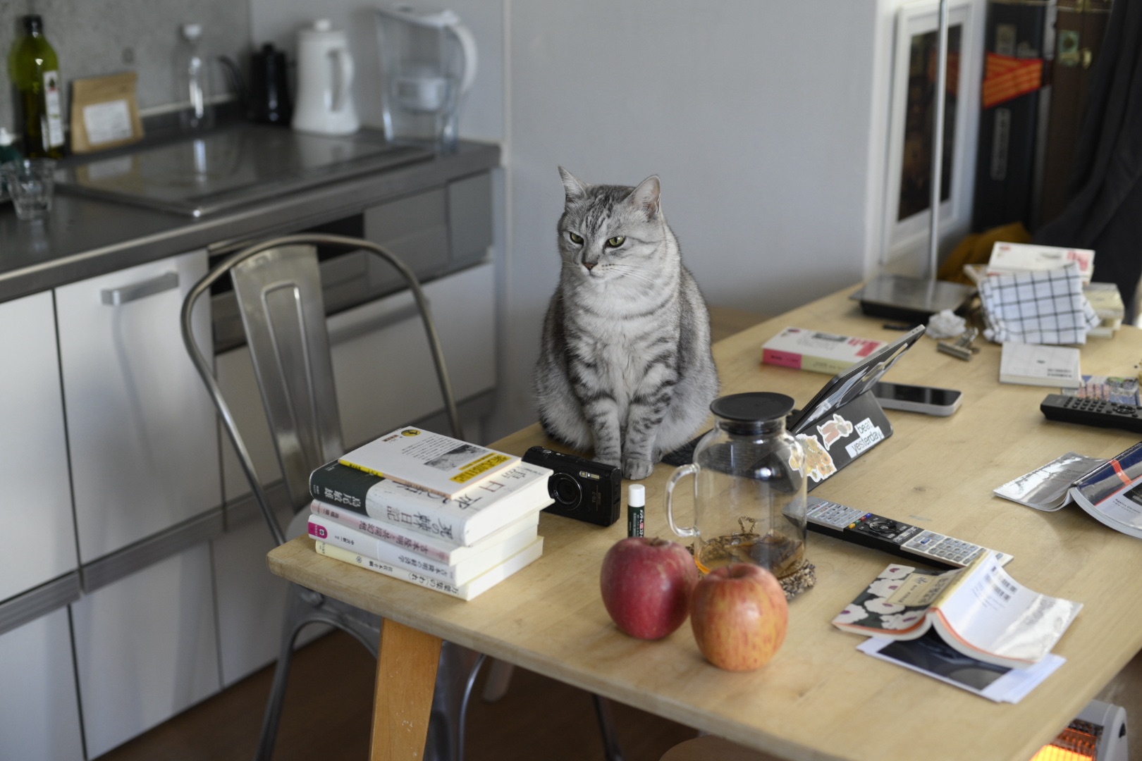 月をみること勧められ年惜しむ、0km, 20251204