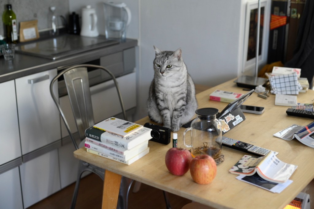 月をみること勧められ年惜しむ、0km, 20251204