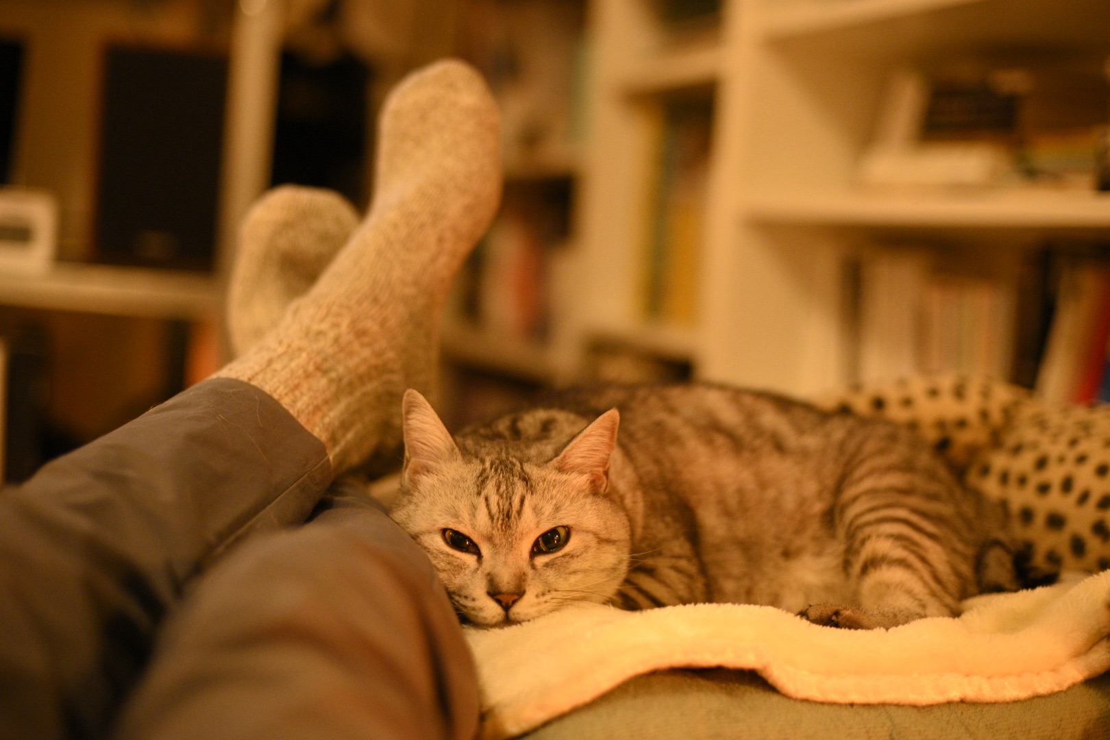 レノン忌や蕪村池澤顕子辞書、0km, 20251209