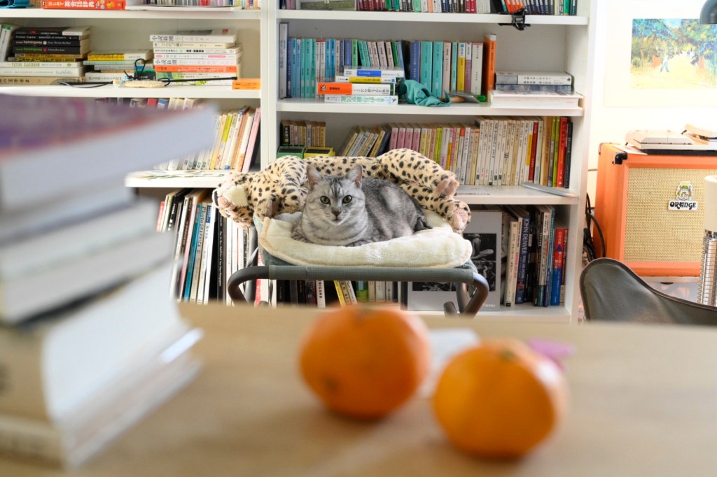 文庫本買ふ知らぬ街インバネス、0km, 20251210