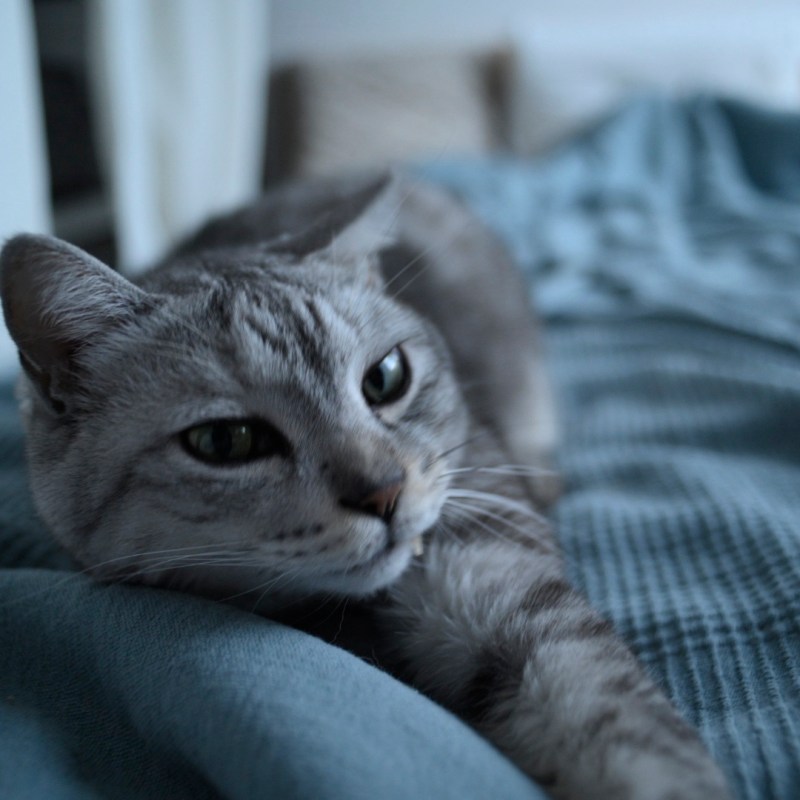 古書買ひて我独りなり年忘れ、18km, 20251218