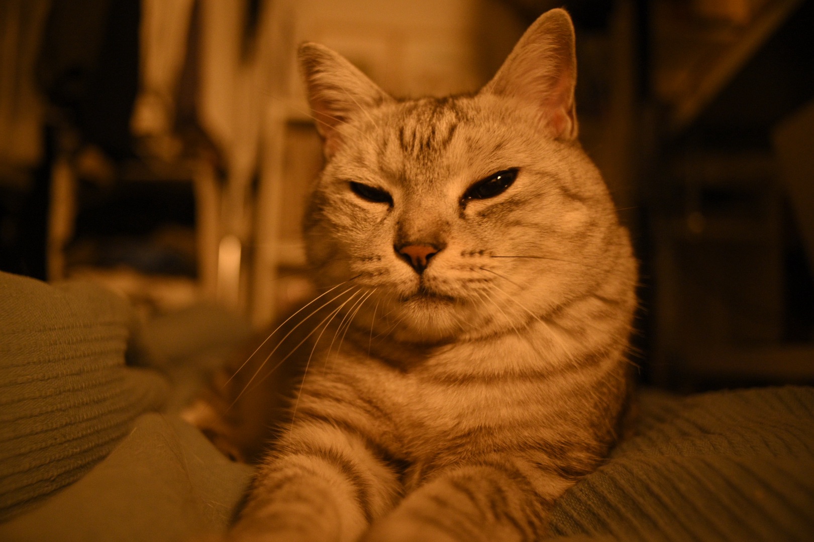 忙しさに為す術もなし年の暮、0km, 20251219