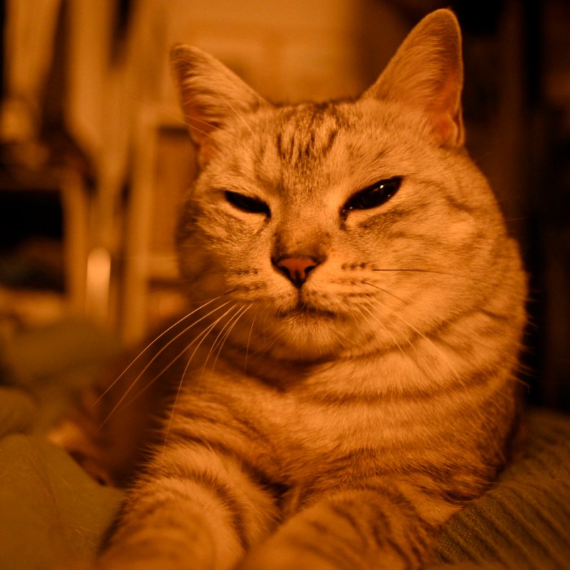 忙しさに為す術もなし年の暮、0km, 20251219