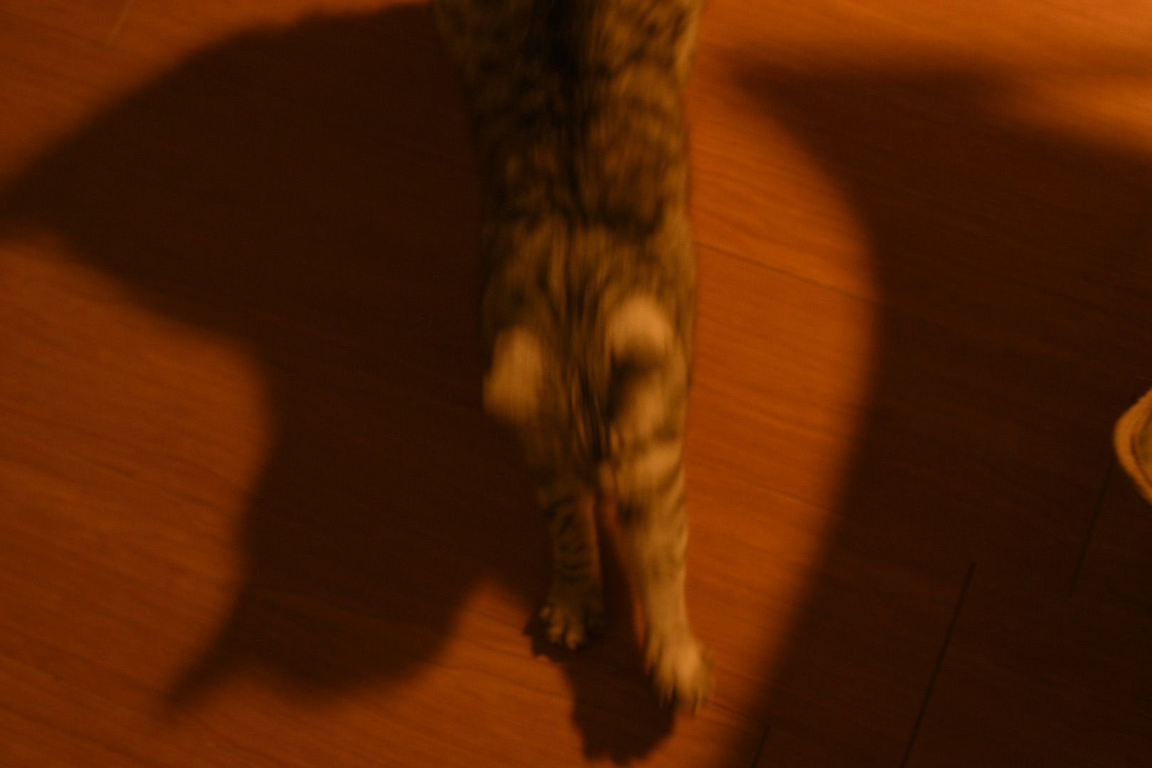 先のこと明日に送りて冬至の日、0km, 20251222