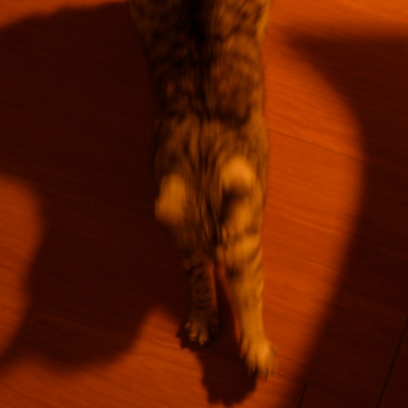 先のこと明日に送りて冬至の日、0km, 20251222