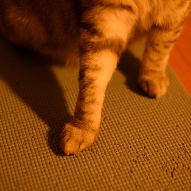 三度目の会ふうれしさよ年の暮、0km, 20251223