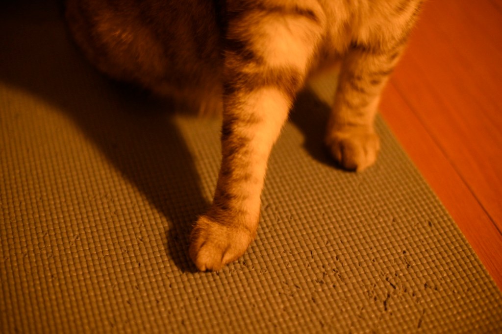 三度目の会ふうれしさよ年の暮、0km, 20251223