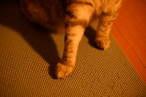 三度目の会ふうれしさよ年の暮、0km, 20251223