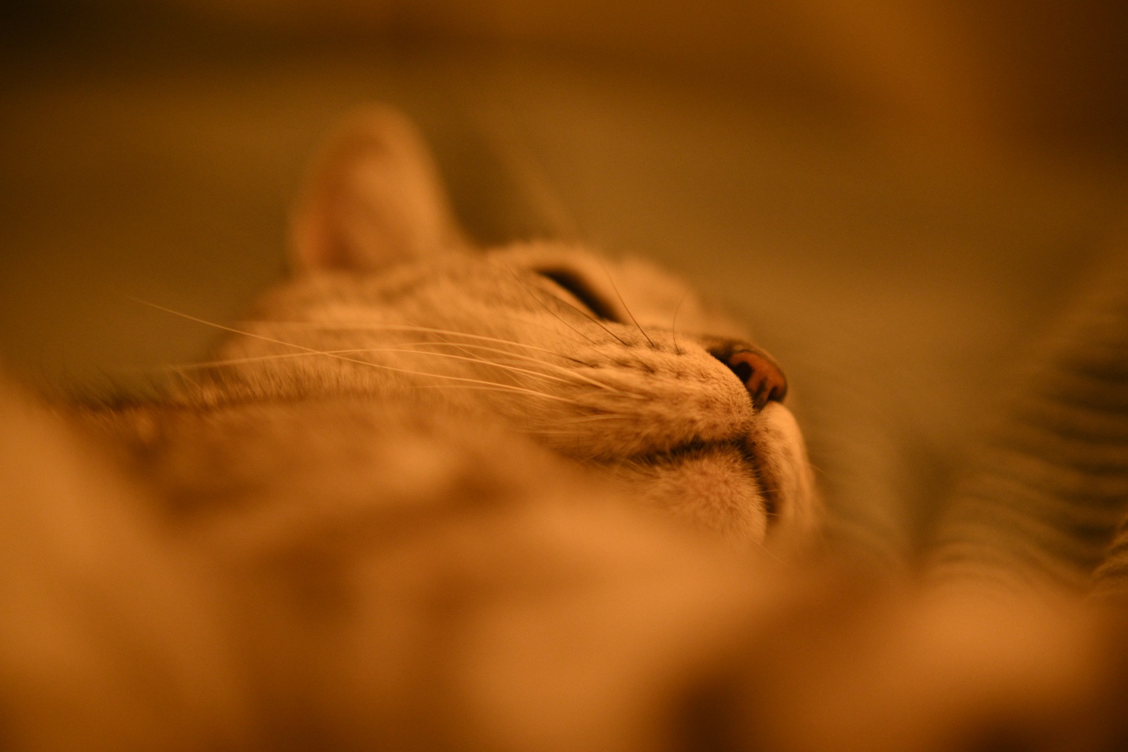 スチームやしみじみと読む死生観、0km, 20251224