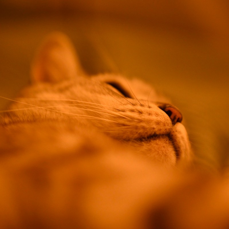 スチームやしみじみと読む死生観、0km, 20251224