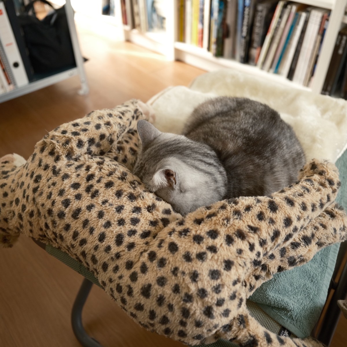 その意義を辞書に頼りてクリスマス、0km, 20251225