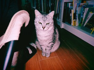 行く末に心許なし三日かな、0km, 20260103