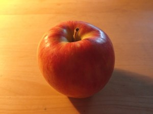 セザンヌを欲す机上の冬林檎、7km, 20260112