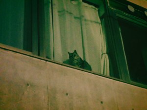 ちびちびとやるレモネード冬ぬくし、0km, 20250116