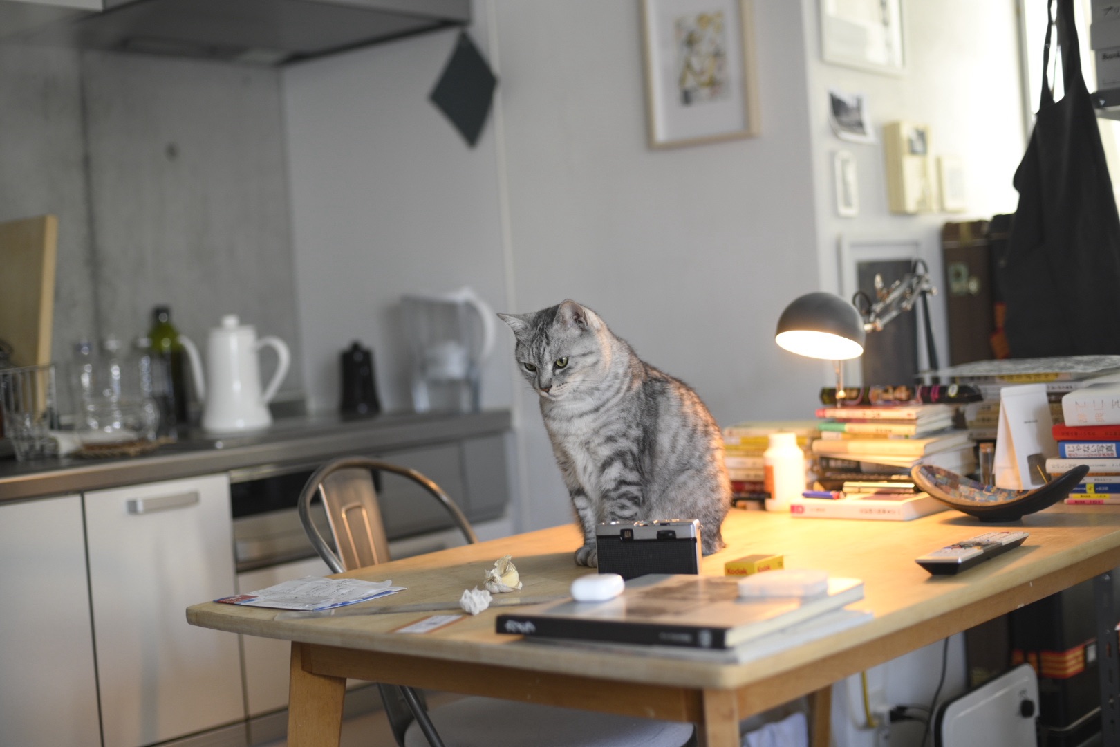 連載のつづきとともに春を待つ、7km, 20260115